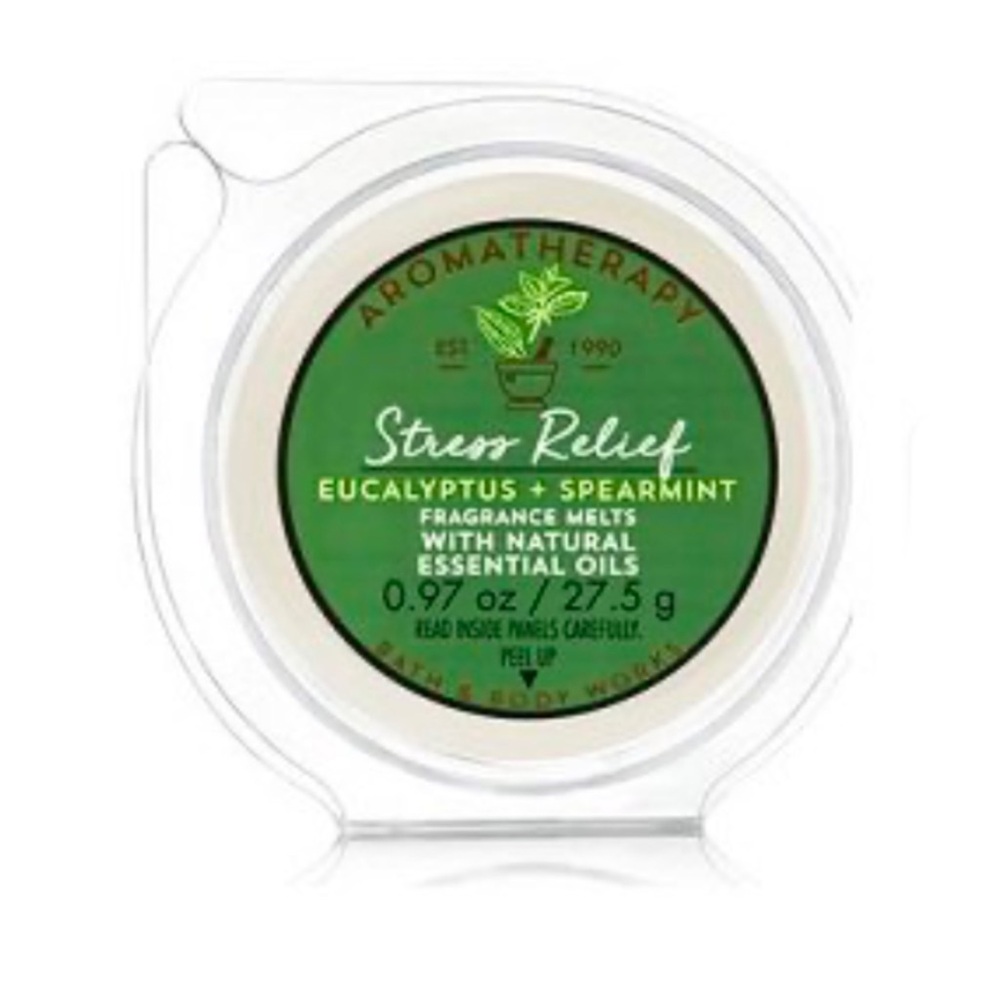 B&BW Discontinued Aromatherapy Eucalyptus + Spearmint Fragrance Melts